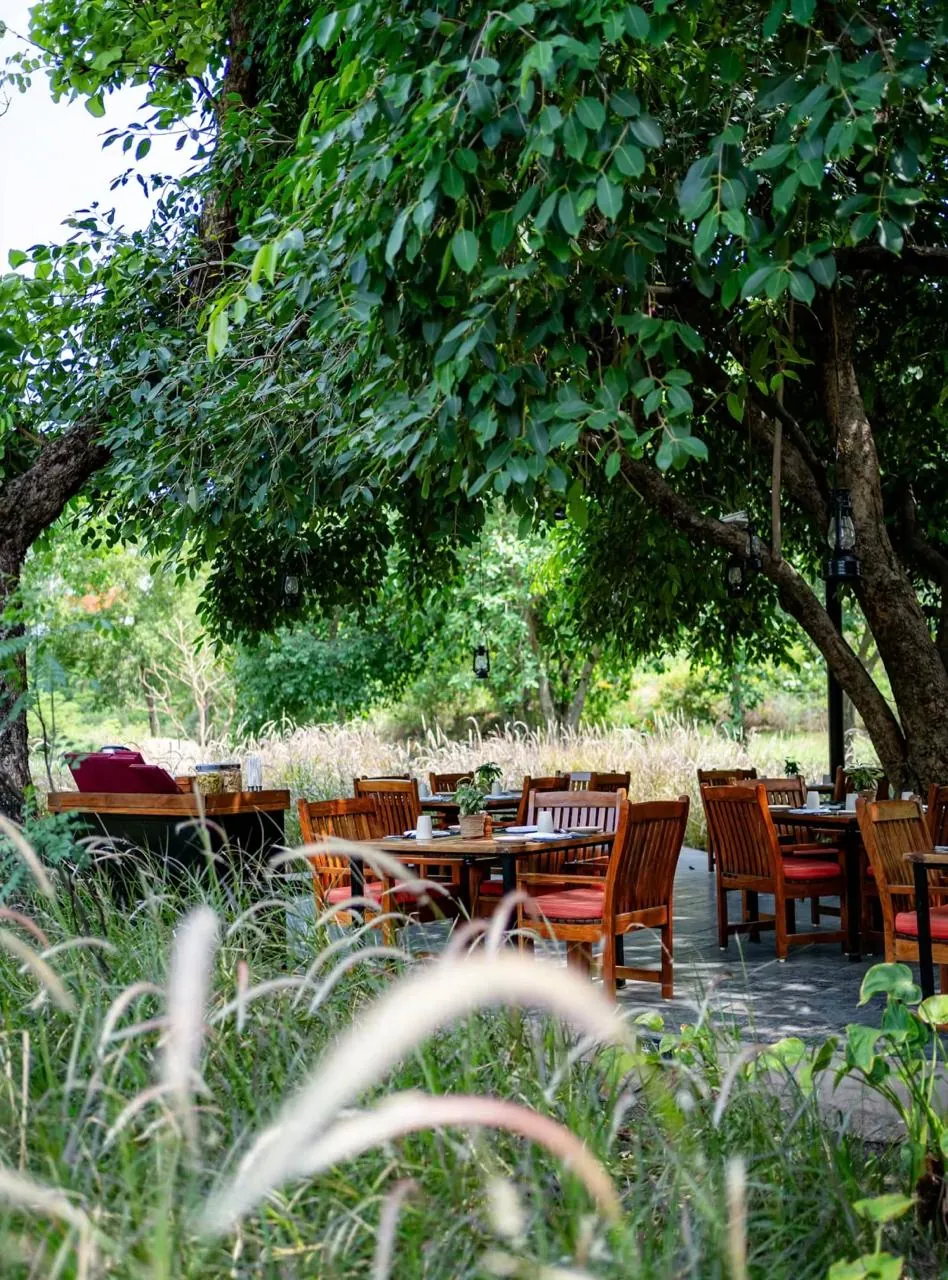 Under The Jamun Tree - Jehan Numa Palace